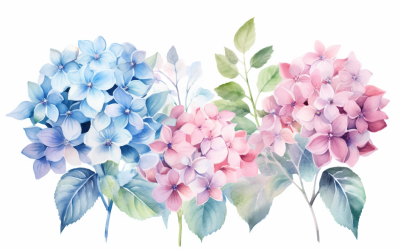 Bouquets de fleurs aquarelles, fond d&amp;#39;illustration 32