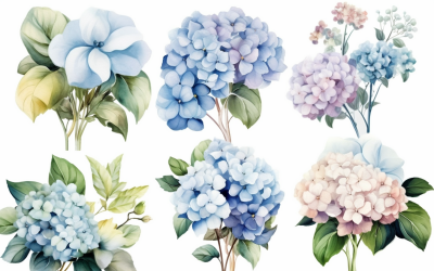 Akvarell blombuketter, illustration bakgrund 27