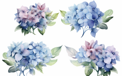 Akvarell blombuketter, illustration bakgrund 30
