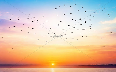 Résumé beau fond de ciel d&amp;#39;été paisible lever de soleil nouveau jour et volée d&amp;#39;oiseaux 02