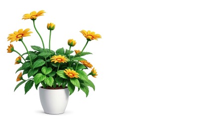Il girasole cresce in un vaso di fiori su sfondo bianco