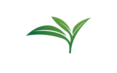 Folha natural hortelã verde logotipo ilustração design vetor v2