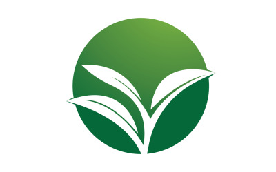 Vector de diseño de ilustración de logotipo verde menta de hoja natural v24