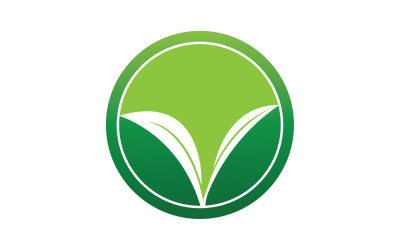 Folha natural hortelã verde logotipo ilustração design vetor v29