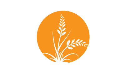 Goldene Weizenähren ernten dekoratives Element v17