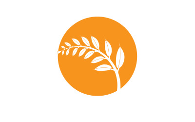 Goldene Weizenähren ernten dekoratives Element v18