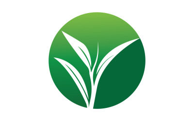 Naturligt löv mintgrön logotyp illustration design vektor v35