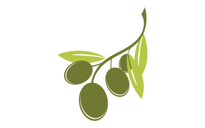 Yağlı zeytin simge şablonu logo vektör v33