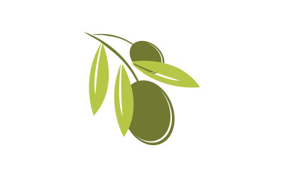 Yağlı zeytin simge şablonu logo vektör v39