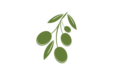 Yağlı zeytin simge şablonu logo vektör v50