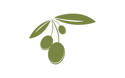 Yağlı zeytin simge şablonu logo vektör v62
