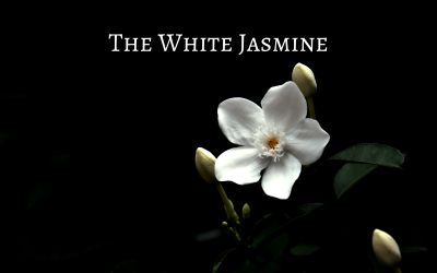 De witte jasmijn - Stockmuziek