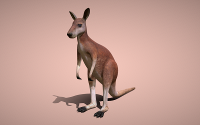 Aproveite a criatividade com nosso modelo 3D Kangaroo: perfeito para apresentações dinâmicas