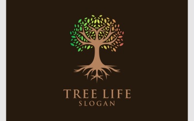 Tree Life Root Natural Logo
