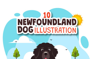 10 Neufundländer-Hundeillustration