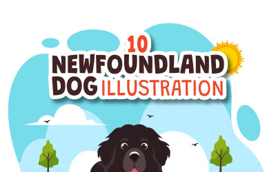 10 Newfoundland Dog Illustration