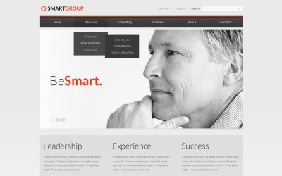 Responsive Drupal Template over Adviesbureau №40340