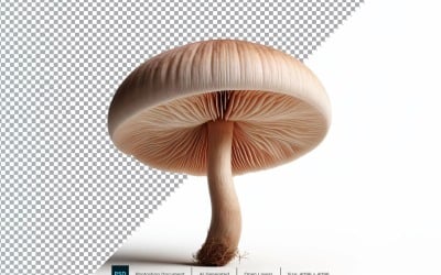 Svamp färsk grönsak Transparent bakgrund 08
