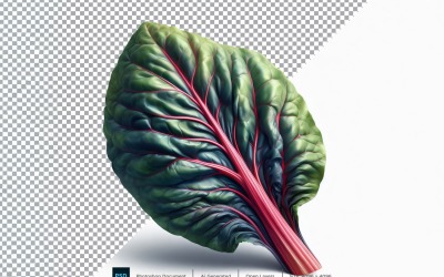 Swiss Chard Fresh Vegetable Transparent background 05