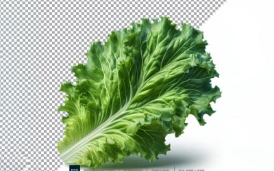 Lettuce Fresh Vegetable Transparent background 01