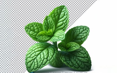 Mint färska grönsaker Transparent bakgrund 03