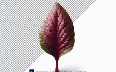syra Färsk grönsak Transparent bakgrund 11