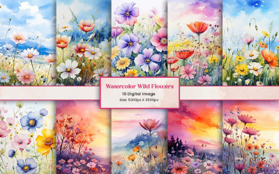 Frühling Wildblumen Digitales Papier Clipart Hintergrund