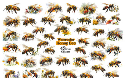 Beautiful watercolor honey bee sublimation clipart illustration