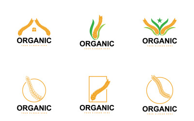 Wheat Rice Logo Agricultural Organic Plant VectorV2