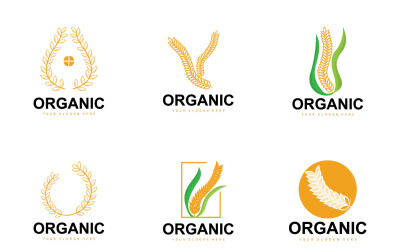 Wheat Rice Logo Agricultural Organic Plant VectorV6