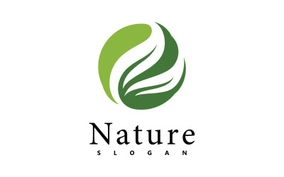 Modèle de conception vectorielle de logo nature. icône de feuille V3