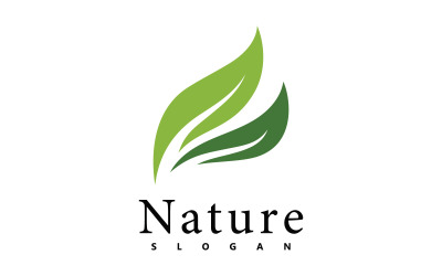Modello di disegno vettoriale del logo della natura. icona foglia V4