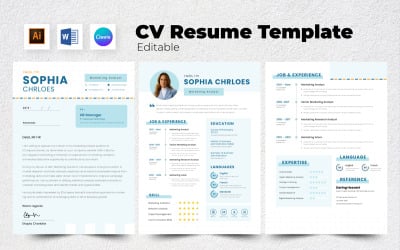 Analityk ds. CV / CV V8