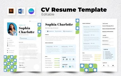 CV / CV Marketinganalist V2