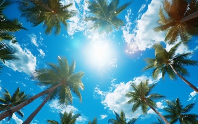 Blå himmel och palmer tropisk strand och sommarbakgrund 089