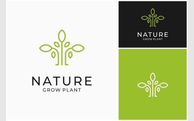 Zielone logo natury liści roślin