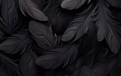 Tmavé peří design_černé peří vzor_černé peří umění