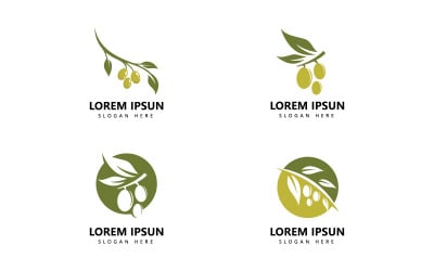 Olive logo icon and olive oil logo template vector  V0