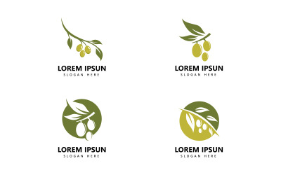 Zeytin logo simgesi ve zeytinyağı logo şablonu vektör V0