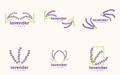 Lavendel-Logo, elegante, lila, blume, plantv12