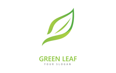 Yeşil yaprak logo simge vektör şablonu V2