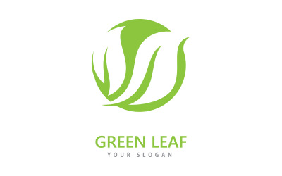 Yeşil yaprak logo simge vektör şablonu V6