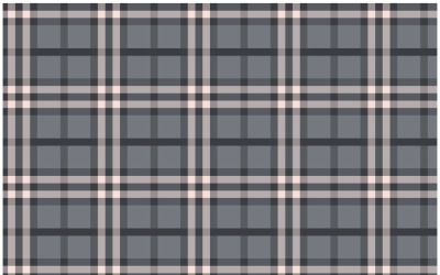 Modelli vettoriali senza soluzione di continuità plaid