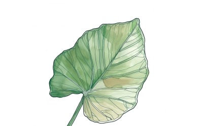 Caladium deixa pintura estilo aquarela 3