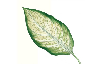 Dieffenbachia bladeren aquarelstijl schilderij 1