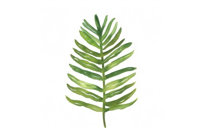 Pintura estilo acuarela de hojas de Norfolk 3