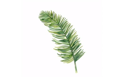 Norfolk Leaves Watercolour Style Painting 4