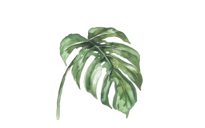 Philodendron Leaves Watercolour Style Painting 1