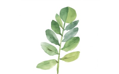 Pittura in stile acquerello con foglie di piante ZZ 3