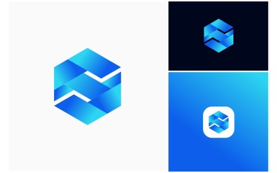 Letter S Hexagon Colorful Logo